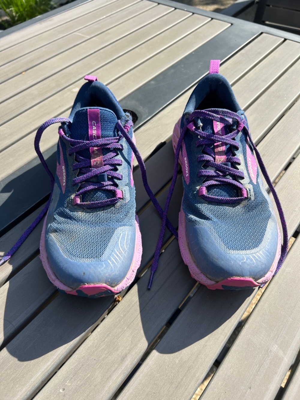 Brooks Women's Cascadia 17 Navy Blue & Pink Trail Running Shoes